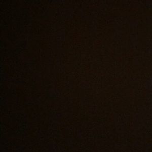 Meet your Posher, Abbey